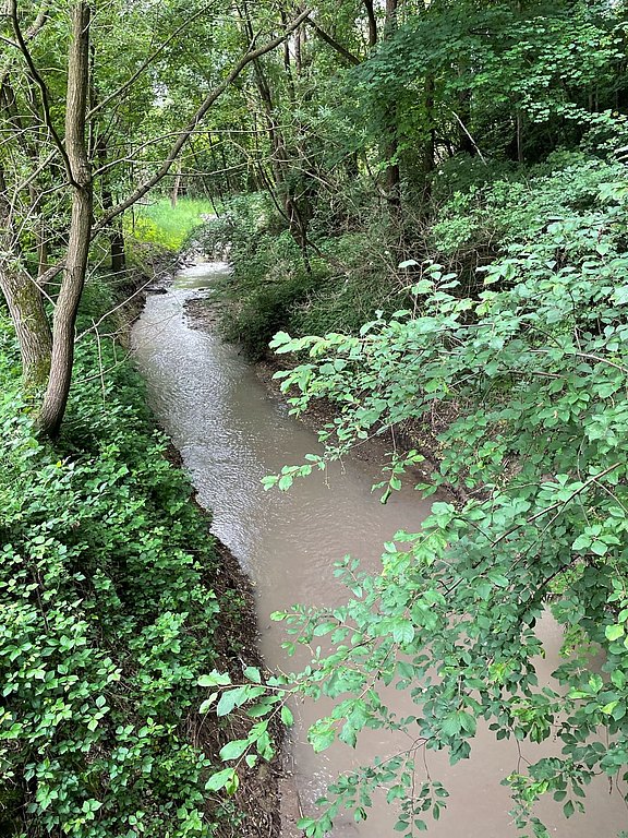 IMG-20250531-WA0010__002_.jpg  