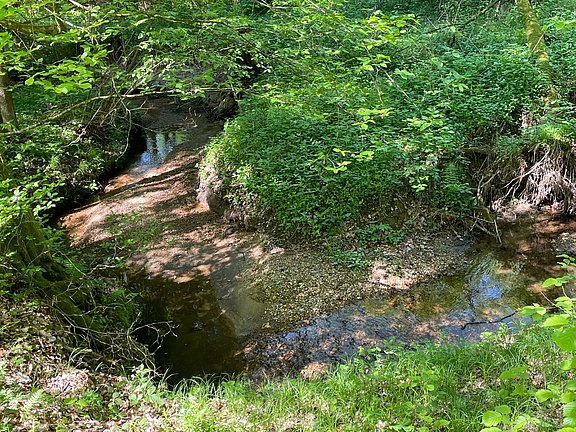 IMG-20250430-WA0004__002_.jpg