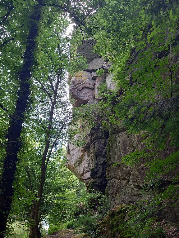IMG-20250626-WA0019__002_.jpg  