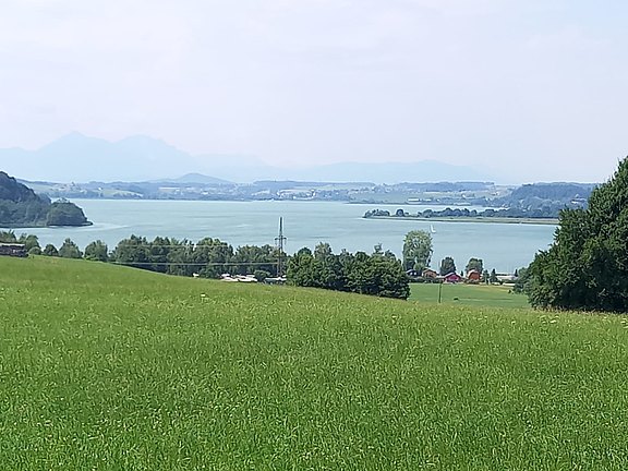 IMG-20250703-WA0011__002_.jpg
