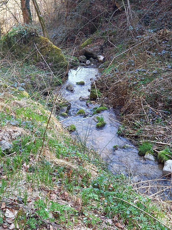 IMG-20250406-WA0019__002_.jpg